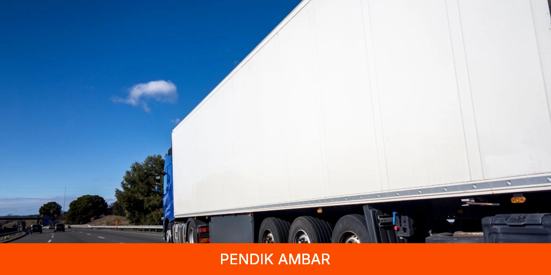 Pendik Ambar